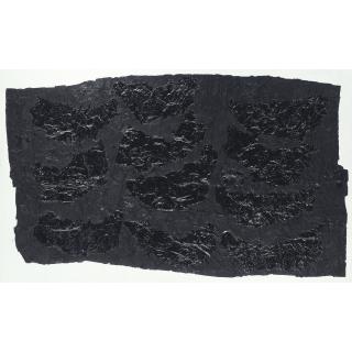 Yang Jiechang - 100 Layers Of Ink: Cut The Fingernails From My Body