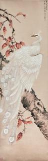 Yang Shanshen - White Peacock