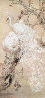 Yang Shanshen - White Peacocks