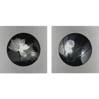 Yang Xun - Ripple: Lotus No. 3 And Passing Of Spring: Plum Blossom No. 2