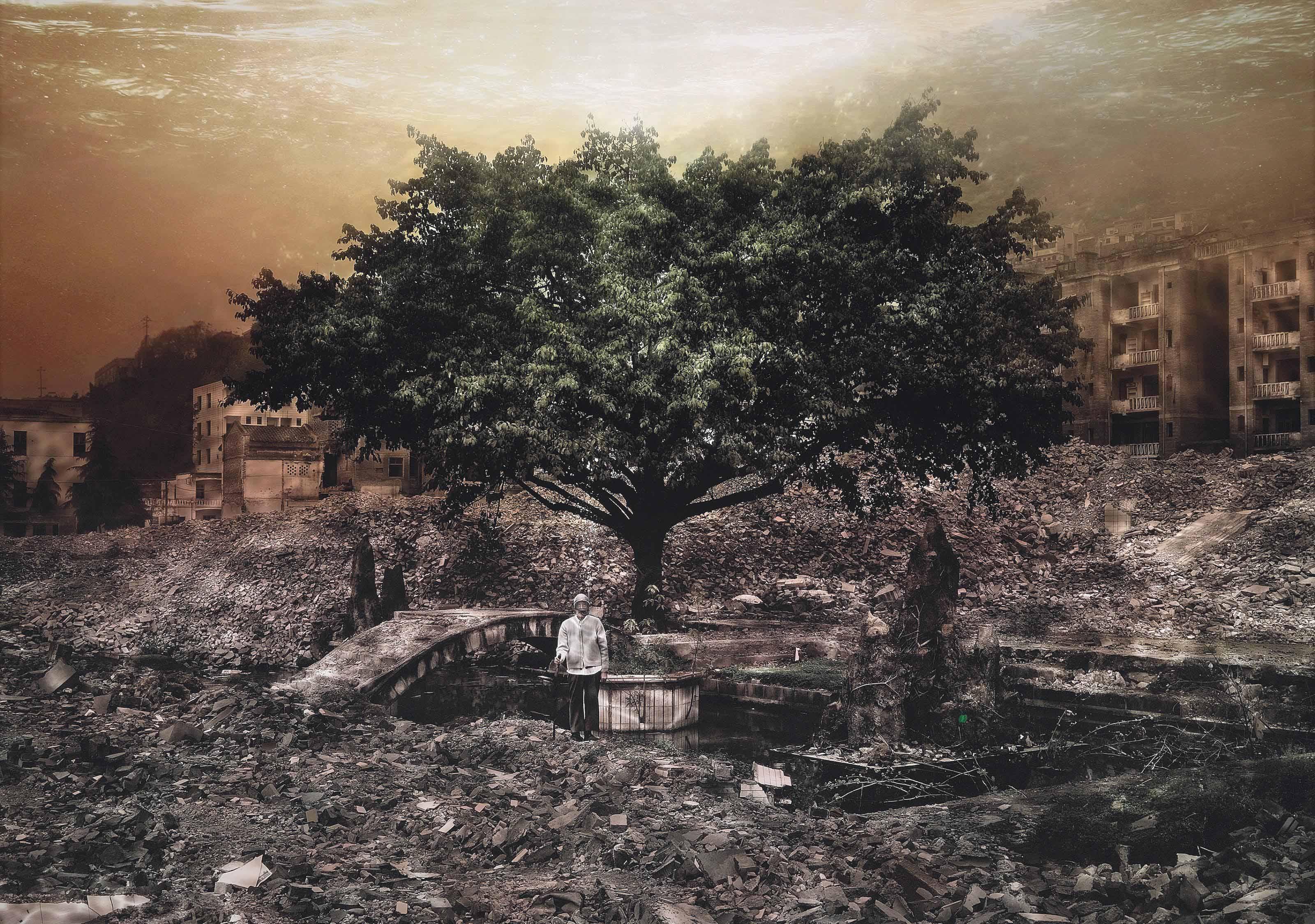 Yang Yi - Uprooted 18, 2007