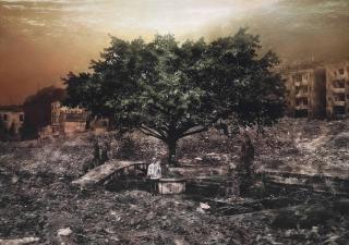 Yang Yi - Uprooted 18, 2007