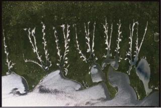 Yann Arthus-Bertrand - Raindeer Landscape 2000