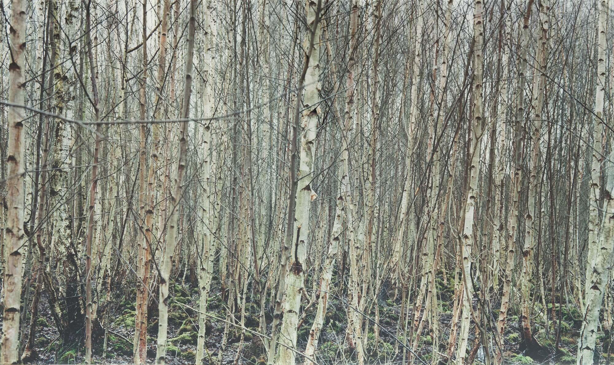 Yannick Demmerle - Ohne Titel.