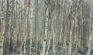 Yannick Demmerle - Ohne Titel.