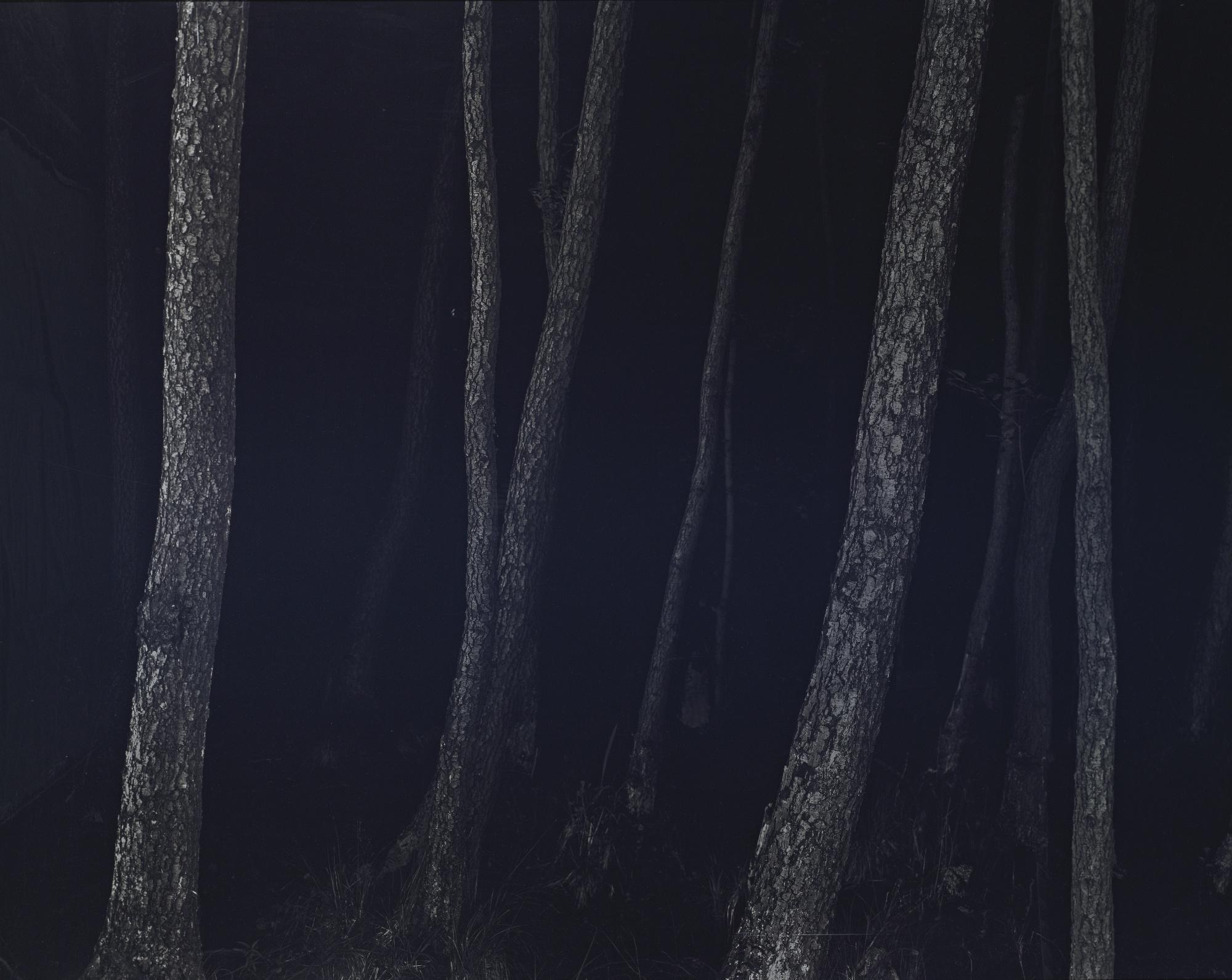 Yannick Demmerle - Untitled (#6) From The Series Les Nuits Etranges