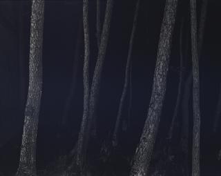 Yannick Demmerle - Untitled (#6) From The Series Les Nuits Etranges