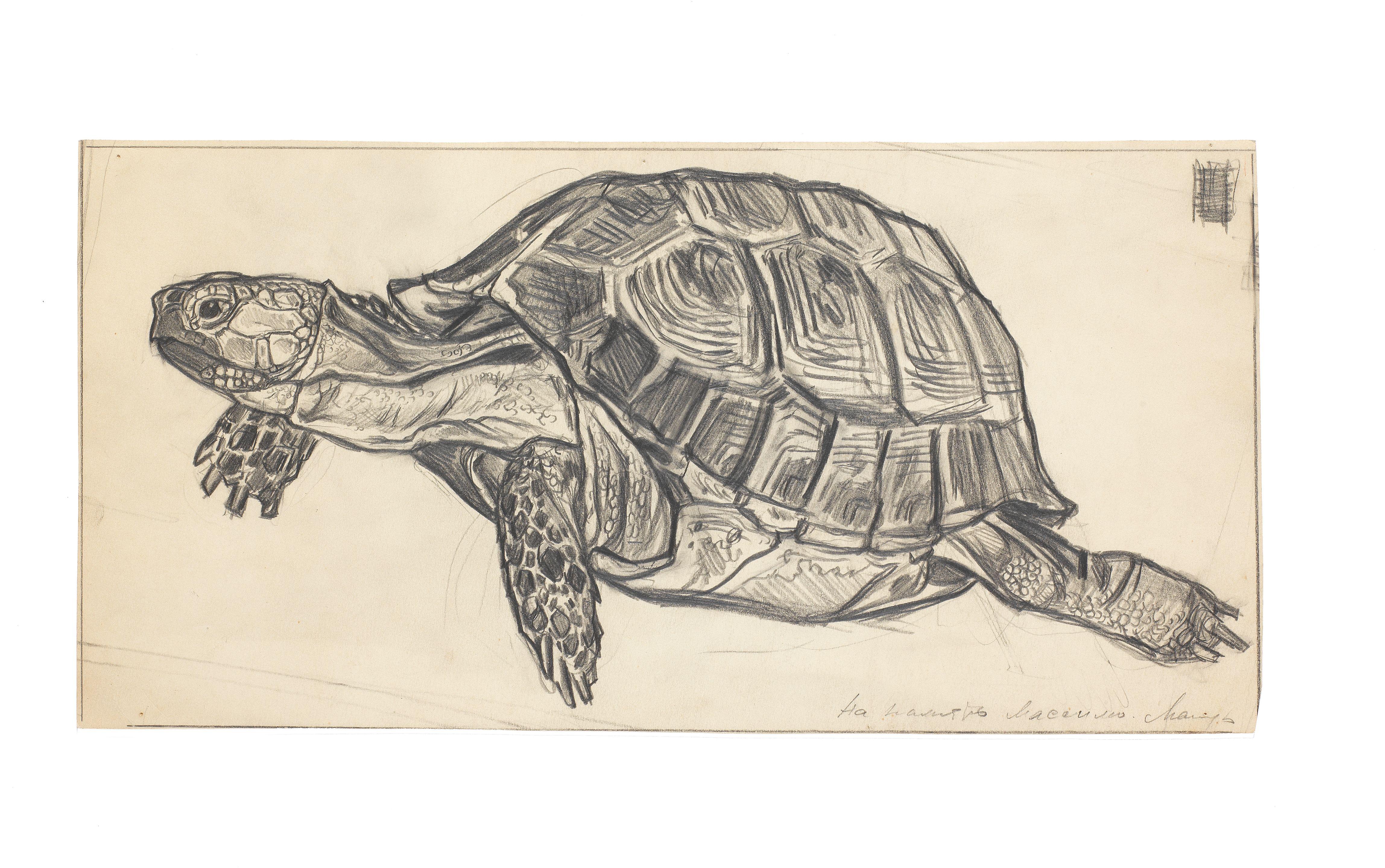 Yaroslav Manuhin - Turtle, 1987