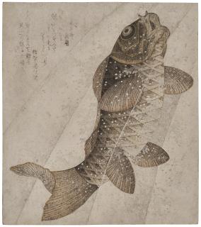 Yashima Gakutei - Black carp ascending a waterfall