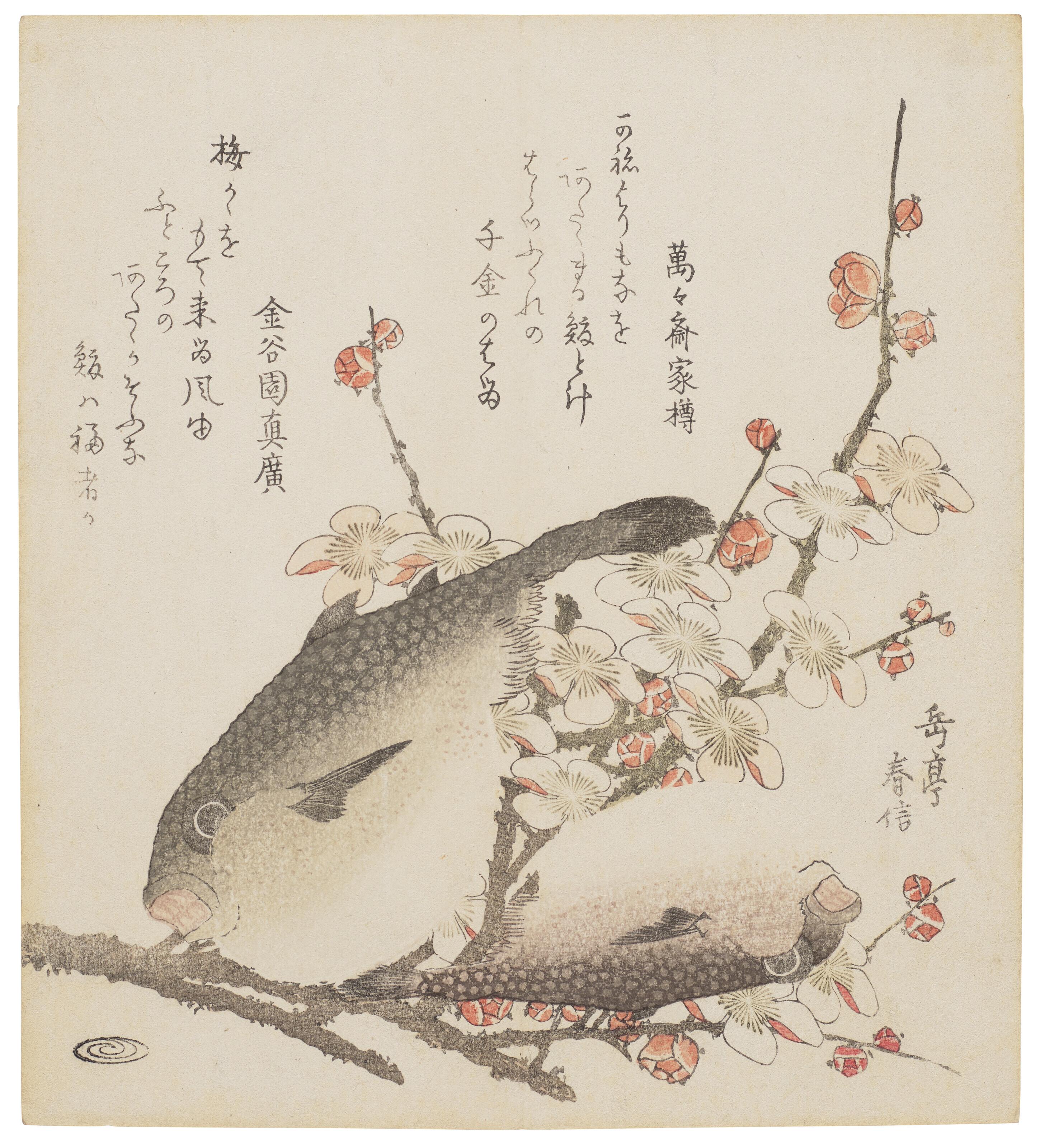 Yashima Gakutei - Plum blossoms and blowfish