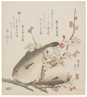 Yashima Gakutei - Plum blossoms and blowfish