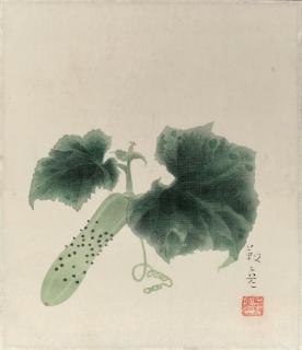 Yasuda Yukihiko - Cucumber