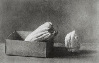 Yasumasa Morimura - Fingered Citrons (Nojima,1-4), 1990