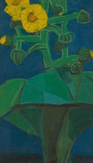 Yasuo Kazuki - Leopard Plant