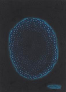 Yayoi Kusama - Asa No Umi Ni Hitaru (Bathing In The Morning Sea)