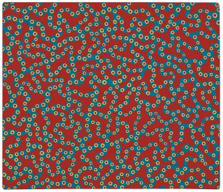 Yayoi Kusama - Before the Destruction of the Flower Garden