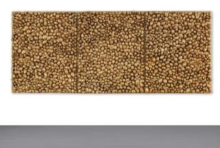 Yayoi Kusama - Beyond My Illusion/Imaginary Flowers Of Shangri-La