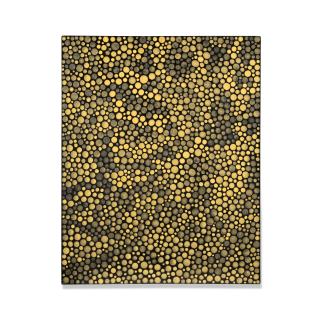 Yayoi Kusama - Dots Obsession