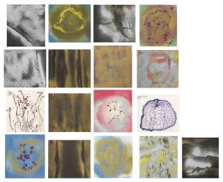 Yayoi Kusama - Five works