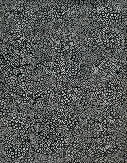 Yayoi Kusama - Galaxy