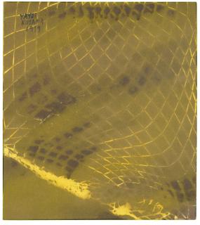 Yayoi Kusama - Infinity Net, The Colour Of Autumn