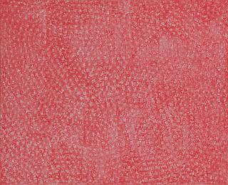 Yayoi Kusama - Infinity Nets, AXTO