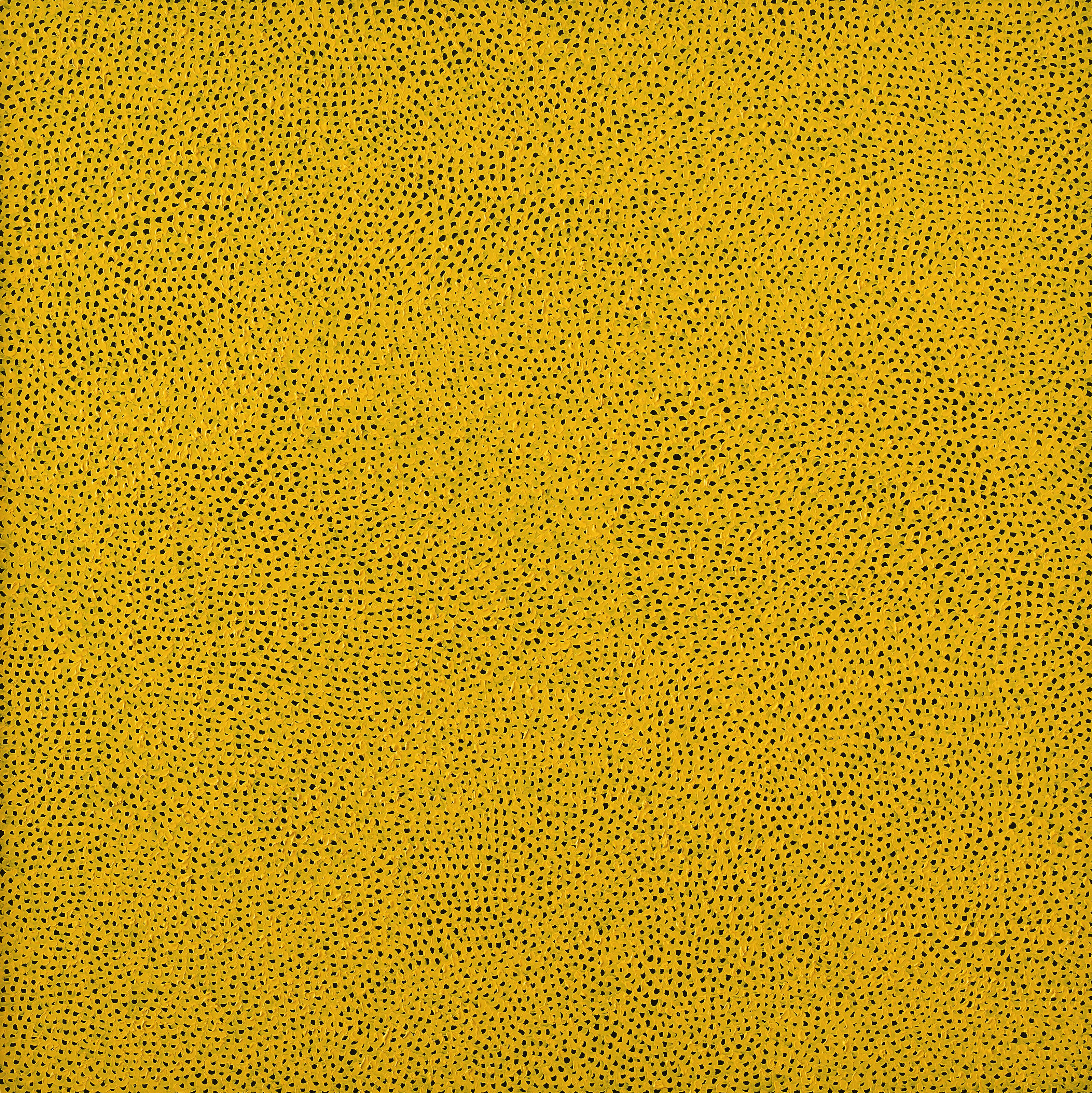 Yayoi Kusama - INFINITY-NETS (BAJO)