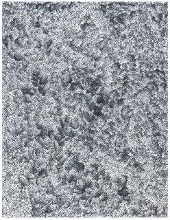 Yayoi Kusama - Infinity-Nets [BRST]