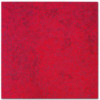 Yayoi Kusama - INFINITY-NETS (OOAXT)