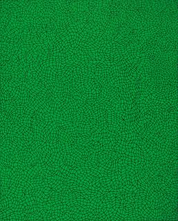 Yayoi Kusama - Infinity Nets Q.N.I