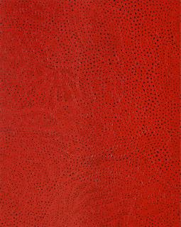 Yayoi Kusama - INFINITY-NETS (SHSOWX)