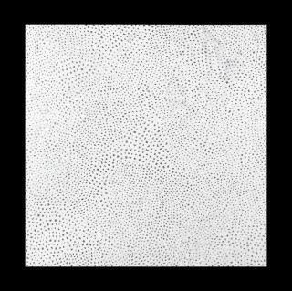 Yayoi Kusama - Infinity Nets TWGZ