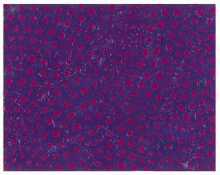 Yayoi Kusama - Infinity Nets