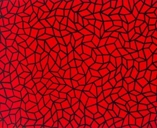 Yayoi Kusama - Infinity Nets