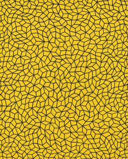 Yayoi Kusama - Infinity Nets