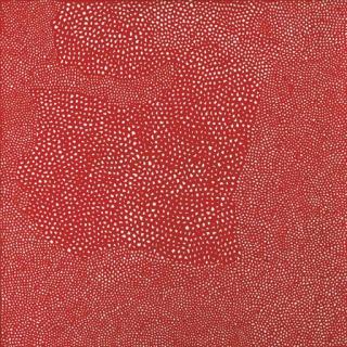 Yayoi Kusama - Infinity Nets
