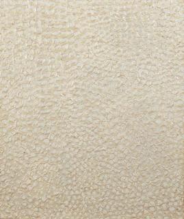 Yayoi Kusama - Infinity Nets