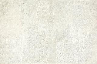 Yayoi Kusama - No. 2