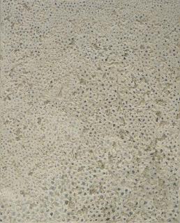 Yayoi Kusama - No. D