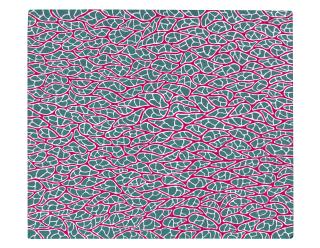 Yayoi Kusama - Path to the Future