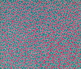 Yayoi Kusama - Path to the Future