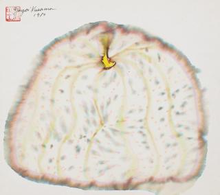 Yayoi Kusama - Pumpkin