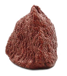 Yayoi Kusama - Strawberry 2