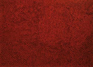 Yayoi Kusama - Untitled