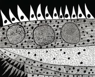 Yayoi Kusama - WAKING UP IN THE MORNING (TQSTW)