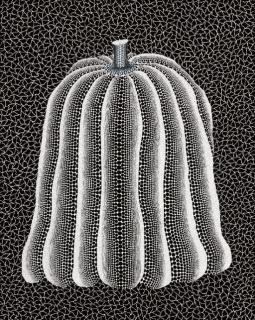 Yayoi Kusama - White Pumpkin