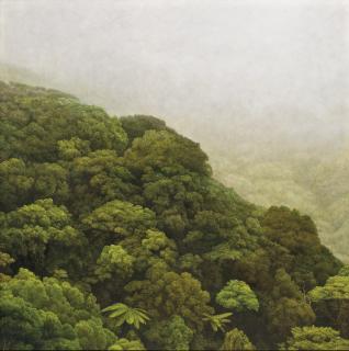 Yeh Tzu Chi - Mountain In The Mist, Yangmingshan