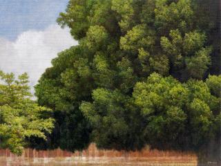 Yeh Tzu-Chi - National Cheng Kung University(Painted In 2012)