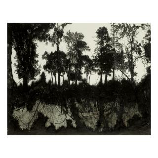 Yehudit Sasportas - Light Earth, Black Hole