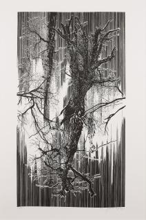 Yehudit Sasportas - Ohne Titel.